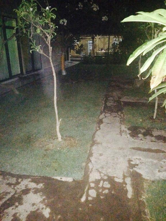 Baleku Homestay Trawangan غيلي تراوانغان المظهر الخارجي الصورة