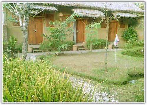Baleku Homestay Trawangan غيلي تراوانغان المظهر الخارجي الصورة